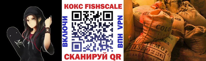 где продают наркотики  Морозовск  Cocaine FishScale 