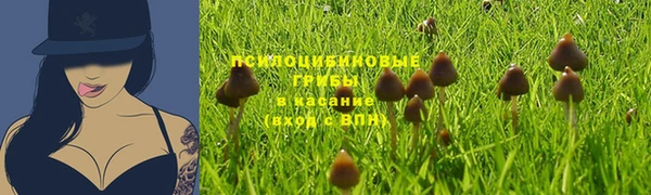 а пвп мука Алзамай