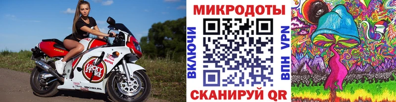 Галлюциногенные грибы Psilocybe как найти наркотики Морозовск