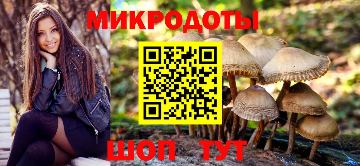 Морозовск  Галлюциногенные грибы мицелий  Вход с VPN 