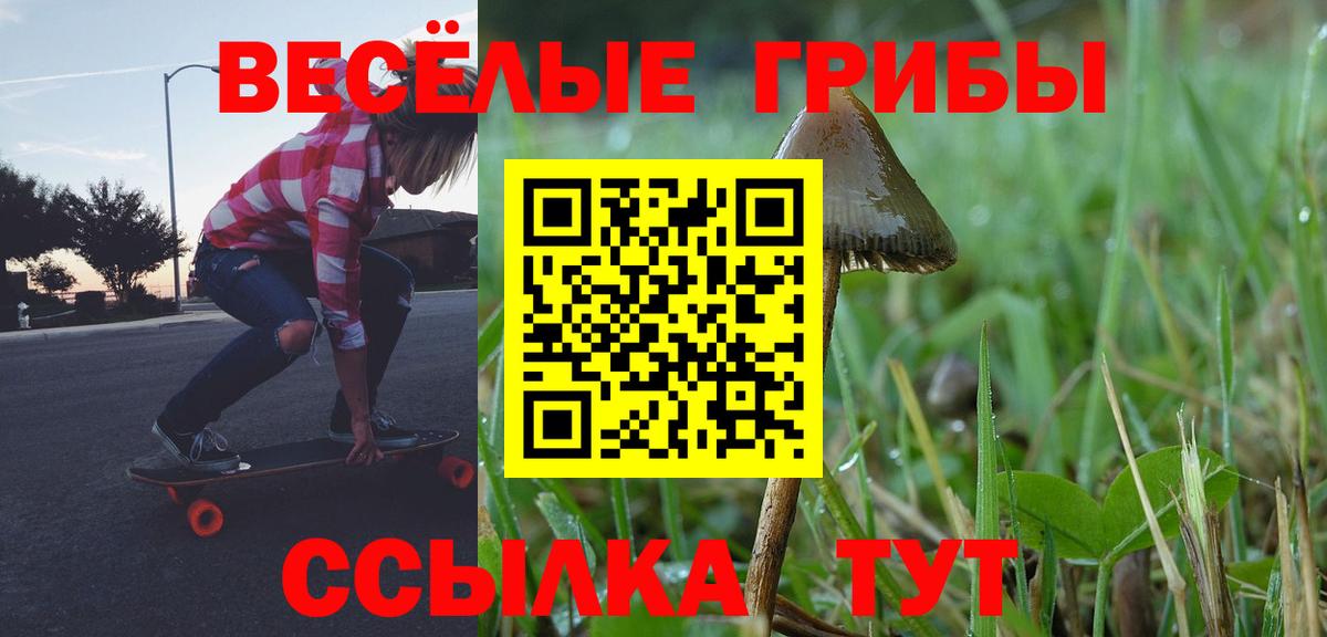 Галлюциногенные грибы MAGIC MUSHROOMS Морозовск