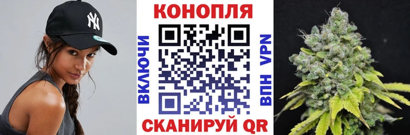 Конопля план  как найти   Морозовск 