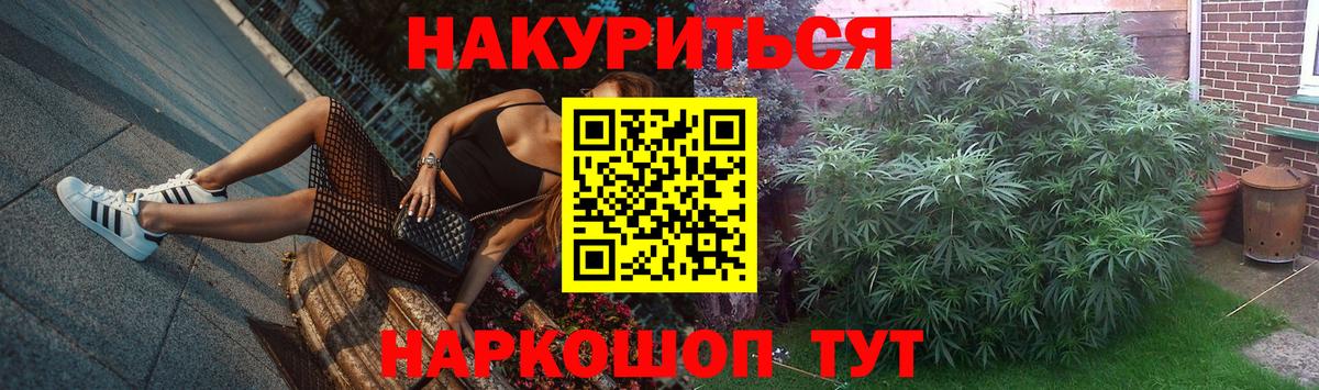 Бошки Шишки гибрид Морозовск